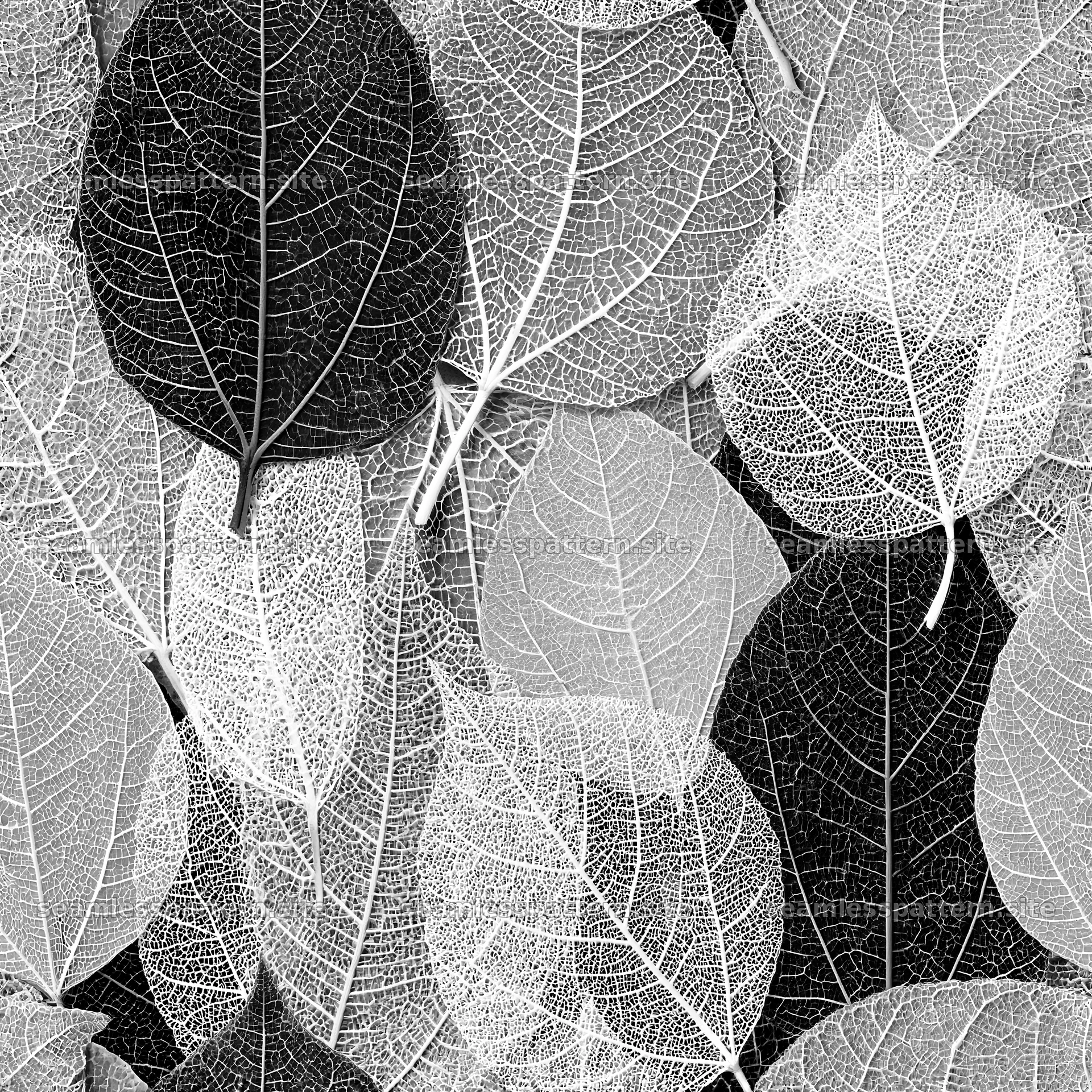 Seamless natural texture repeat pattern of black and white leaves